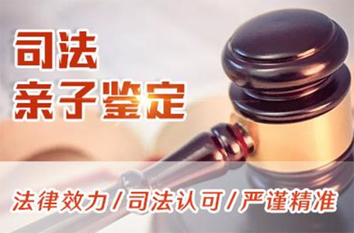 广东司法亲子鉴定多少钱,广东正规司法DNA亲子鉴定机构